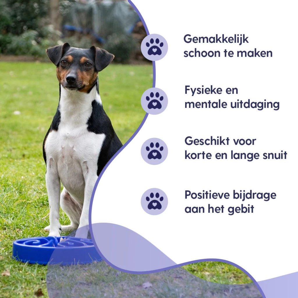 Small Eat Slow Live Longer Original (Verschillende kleuren)