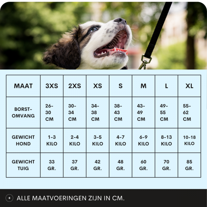 Maat XL : AIRMESH HONDENTUIG - CLICK & GO - VERSTELBAAR - PETROL