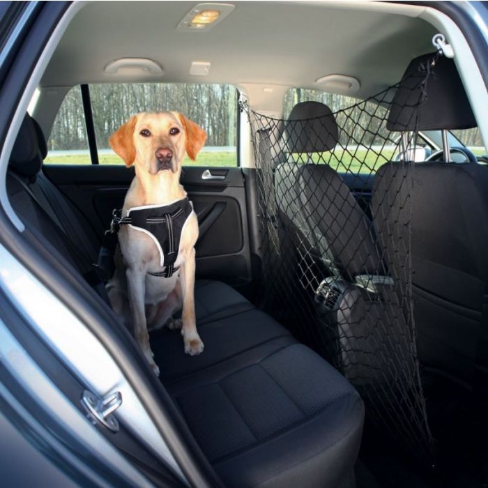 VEILIGHEIDSNET AUTO VOOR HONDEN