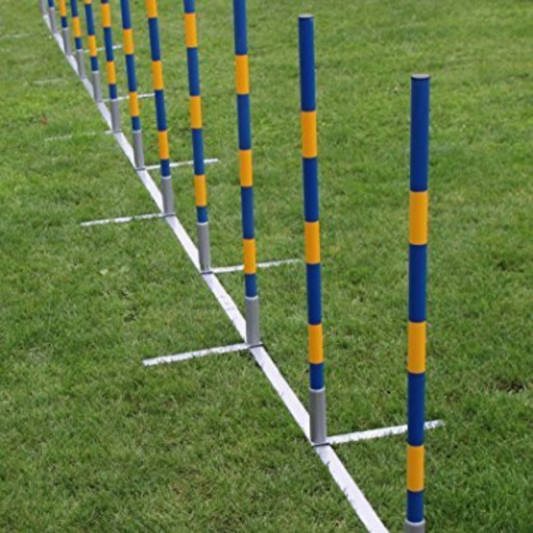 PROFESSIONELE AGILITY SLALOMSET - 12 PALEN - RECHT