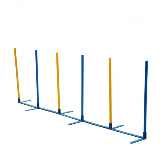 AGILITY SLALOM - SET VAN 6 PALEN MET GRONDSTRIP
